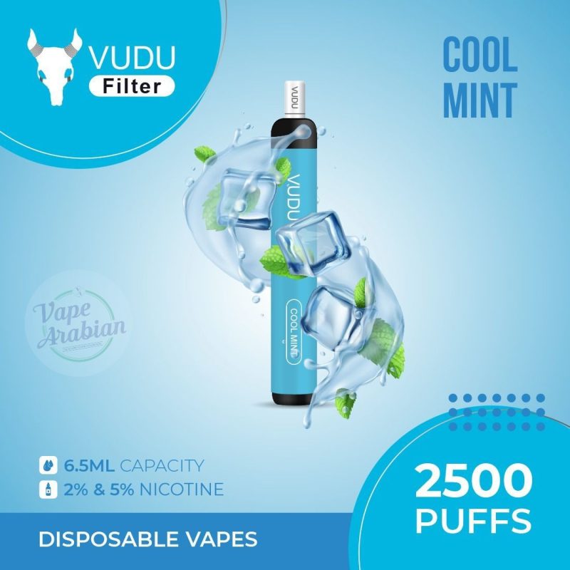 VUDU Filter Disposable 2500 Puff- Cool Mint
