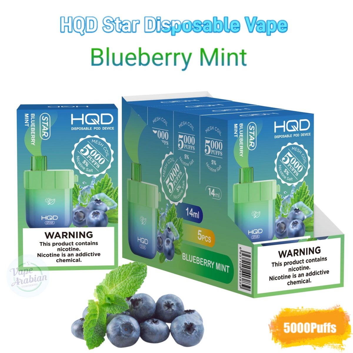 HQD Star Disposable Vape 5000 Puffs- Blueberry Mint