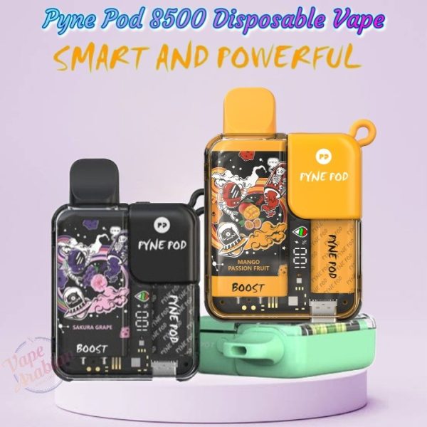Pyne Pod 8500 Disposable Vape