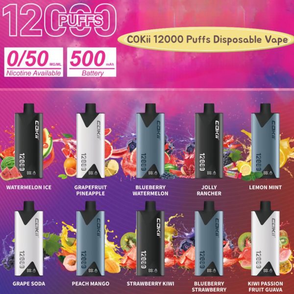 Cokii 12000 Puffs Disposable
