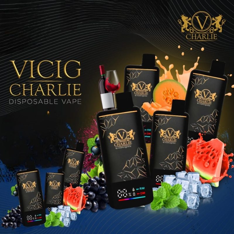 Vicig Charlie Disposable Vape 15000 Puffs